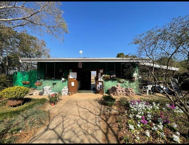 FARM FOR SALE IN GREYTOWN